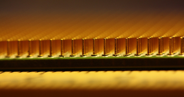 amd_thuban_01 amd_thuban_01