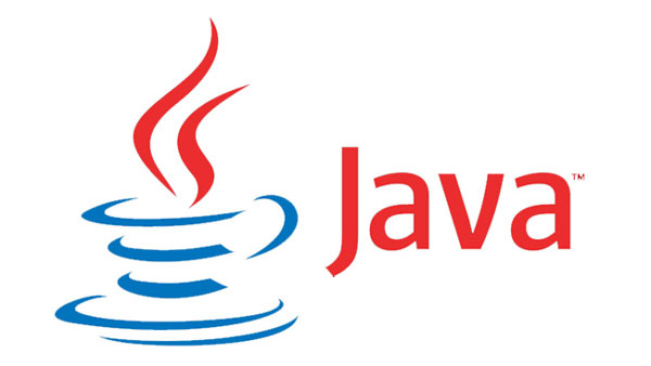 Nuevas vulnerabilidades en Java System Directory Server 6 y cómo evitarlas