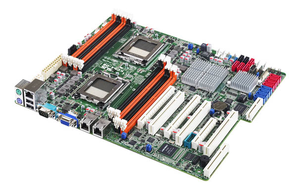ASUS KCMA-D8 y ASUS KCMR-D12, placas base de ASUS con tecnologí­a AMD para servidores