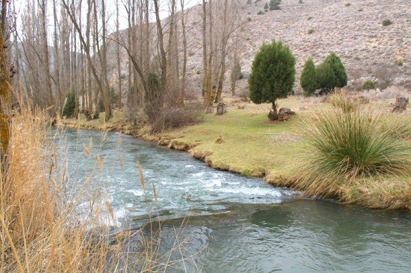 Albergue Sendas del Riaza
